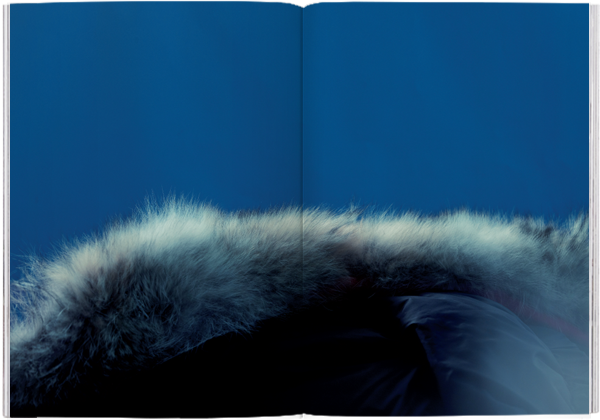 Magazine B - Issue 12 Canada Goose