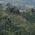 San Agustin Sidra Ecuador - Filter Coffee