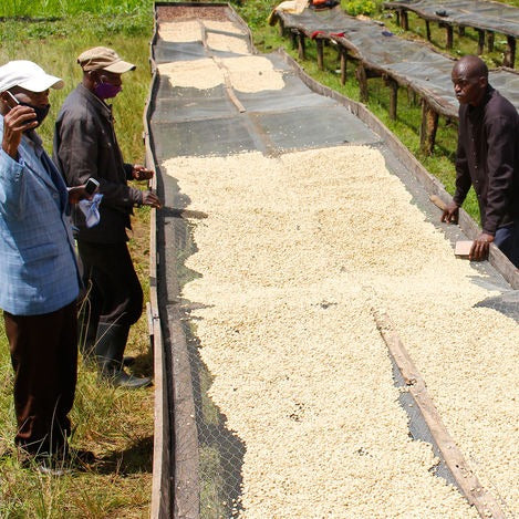 Matunda Meru Town Kenya - Single Origin Espresso