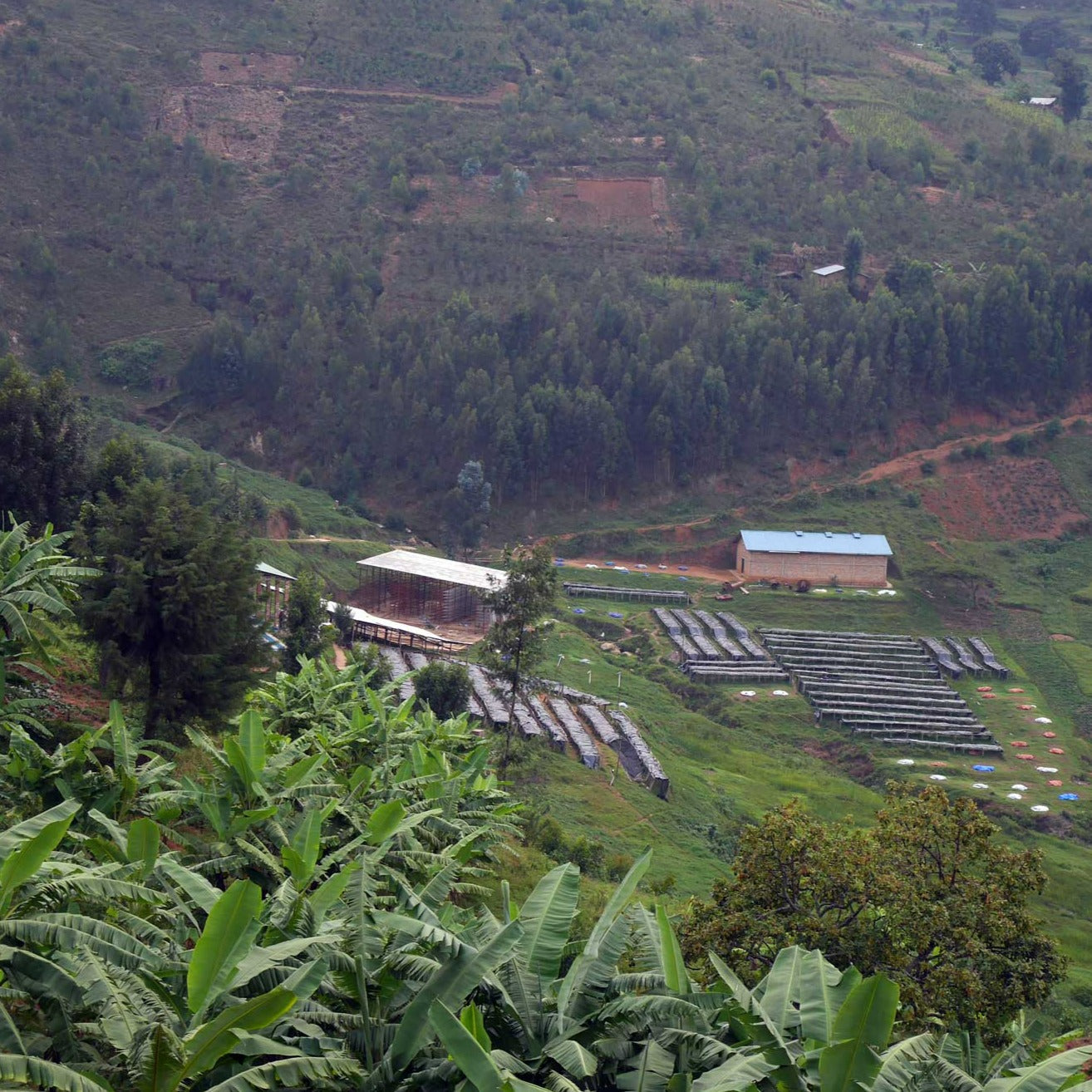 Single Origin Espresso - Remera Classic Rwanda