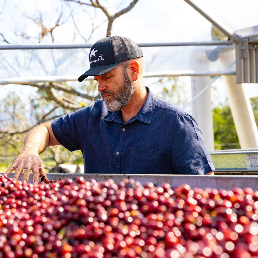 Mario Esmeralda Special Geisha - Panama