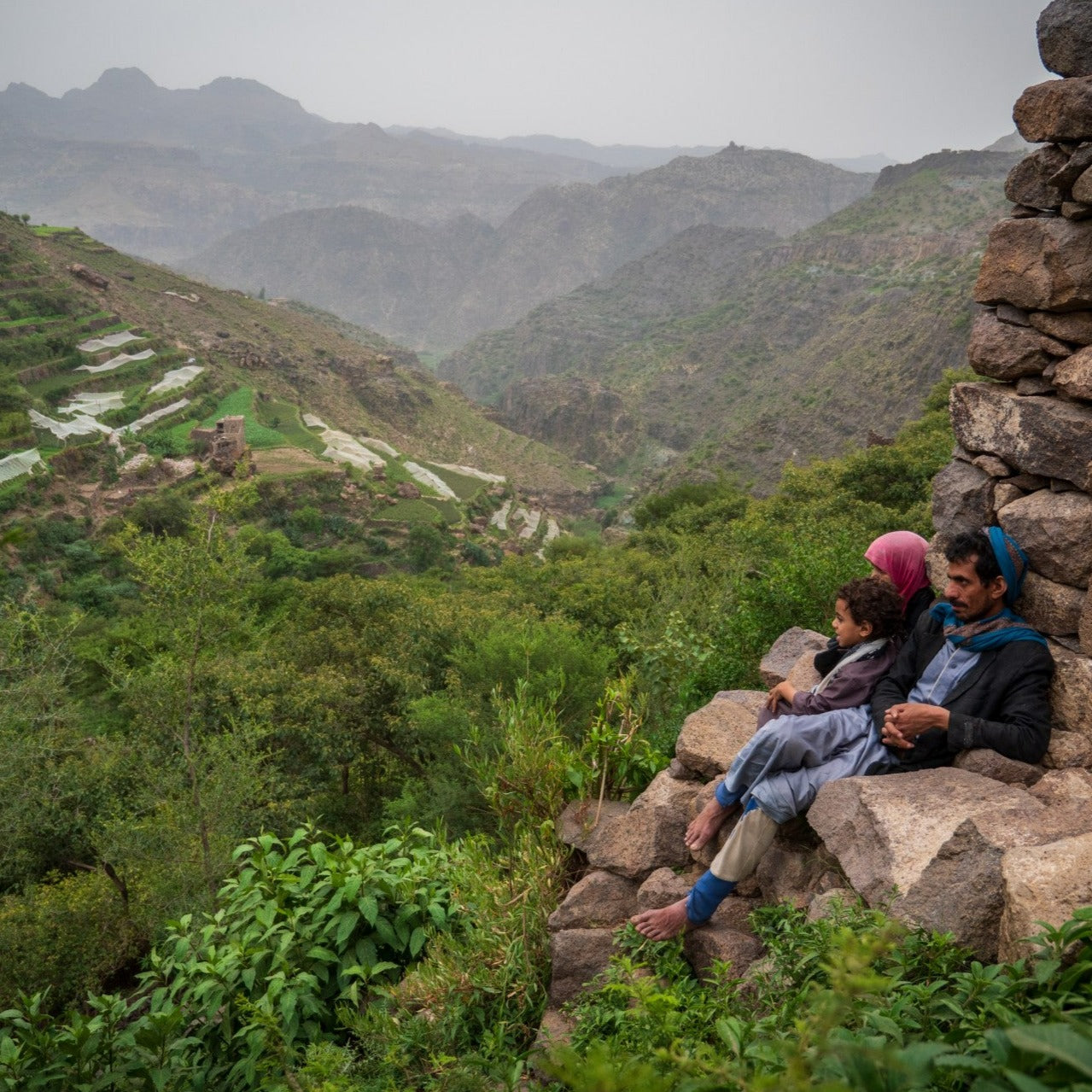Aans Dhamar - Yemen - Filter Coffee