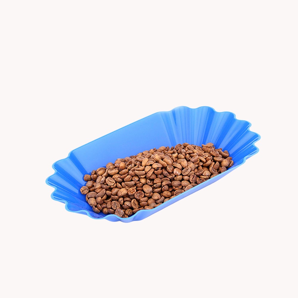 Coffee Cupping Sample Tray - Oval