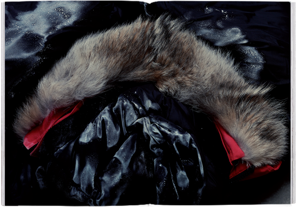 Magazine B - Issue 12 Canada Goose