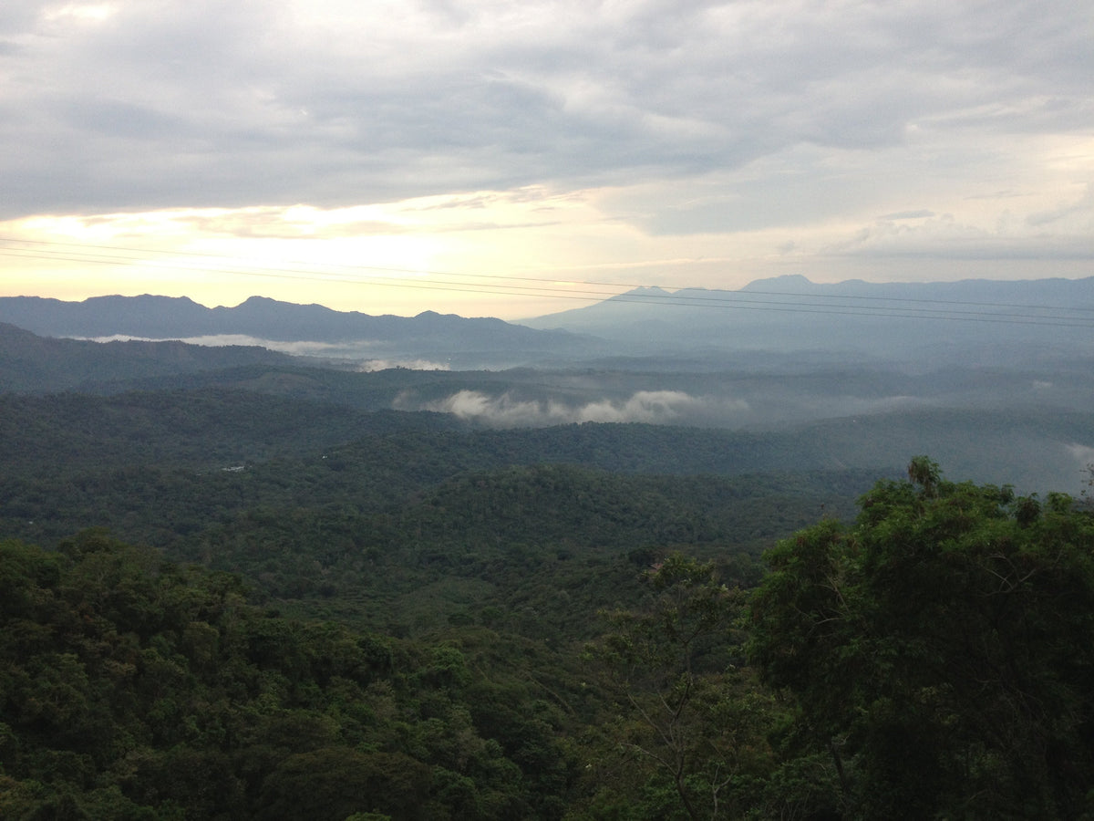 Single Origin Espresso - Finca Santa Matilde El Salvador